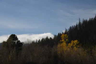 DSC_0256 (Large).JPG